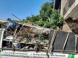 Best Commercial Junk Removal  in Sale Creek, TN